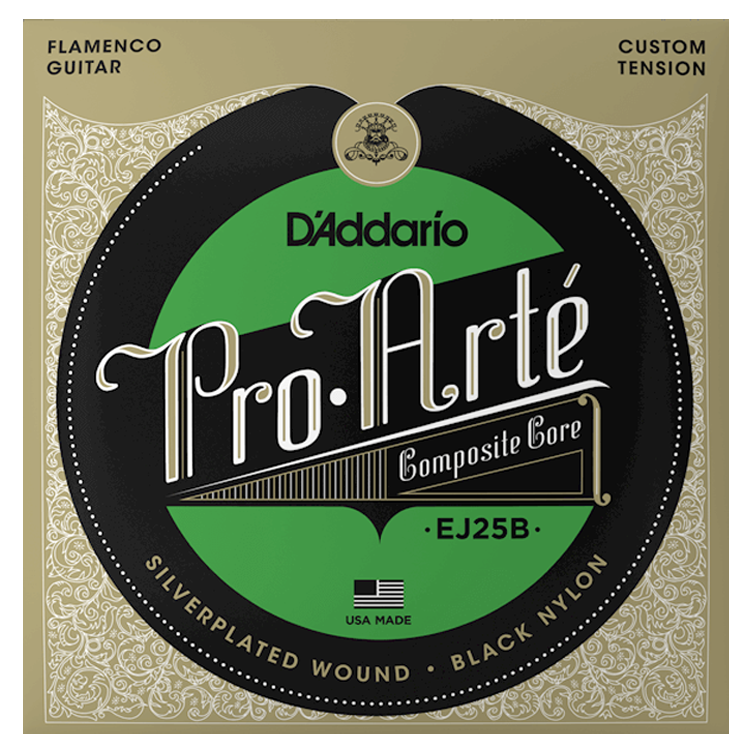 D'Addario EJ25B Flamenco