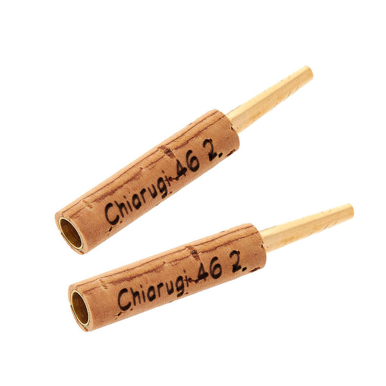 [REF1677] Chiarugi Tudel 46-2