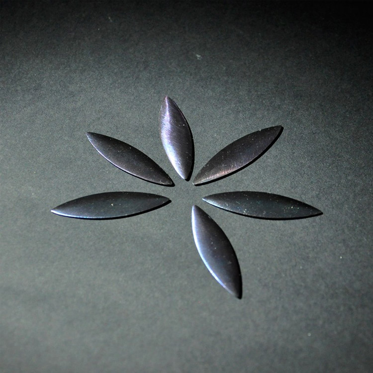 Chiarugi Pestaña AC172A