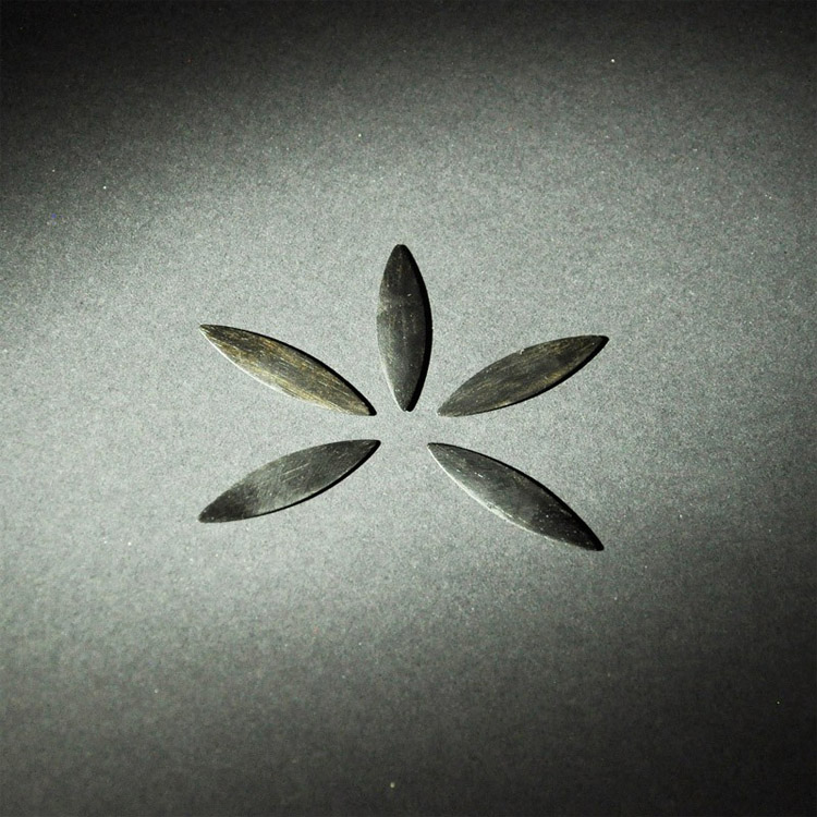 Chiarugi Pestaña AC172D