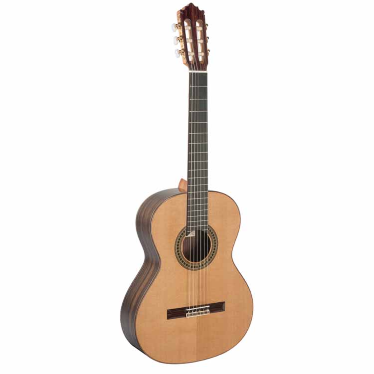 [REF0037] 204 Paco castillo