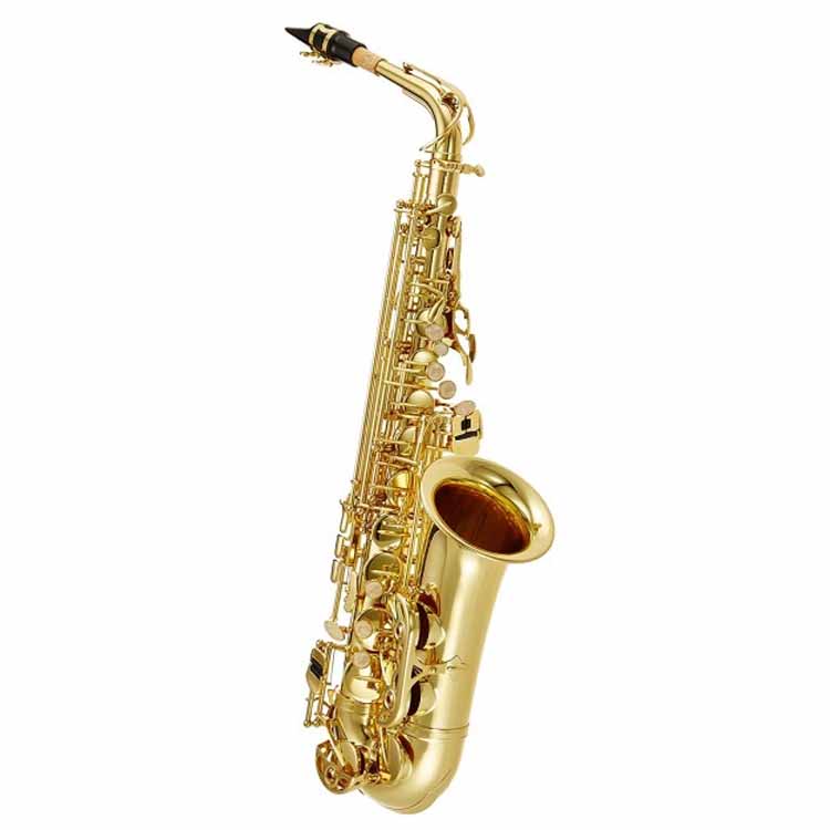 [REF3865] J. Michael Saxo Alto AL500