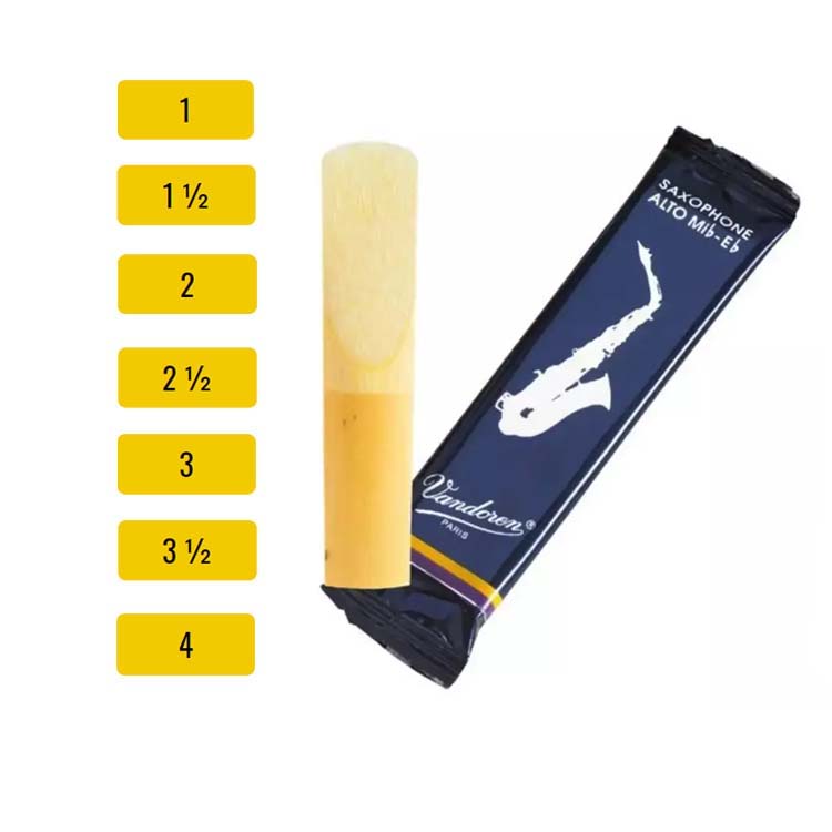 Caña Saxo Alto Tradicional Vandoren (1)